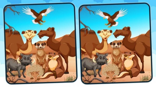 Sahara Search: Find the Odd Detail