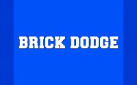 Brick Dodge: Online Arcade Survival Arcade Game