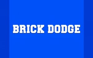 Brick Dodge: Online Arcade Survival Arcade Game