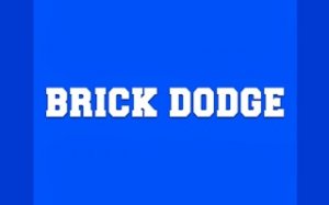 Brick Dodge Arcade Survival - Ludoryx free online game