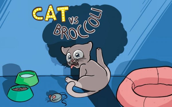 Treat Collector Feline Dash